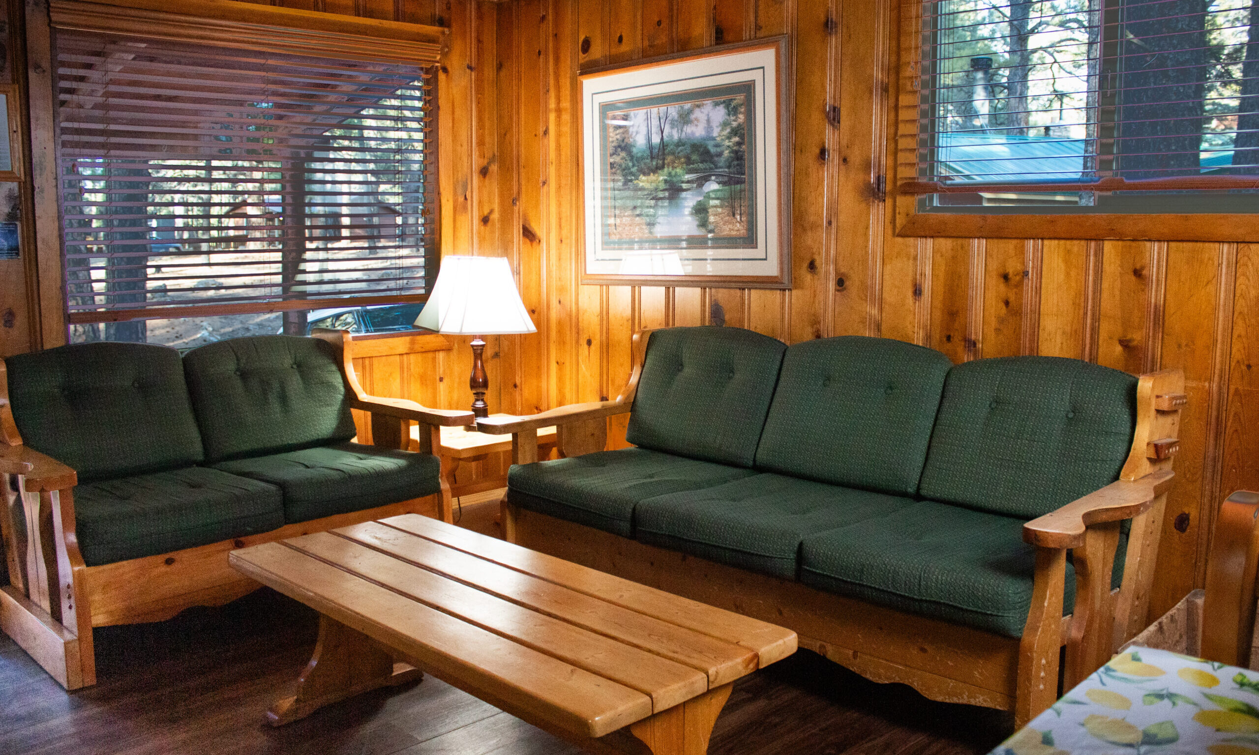 Cabin 2-Living Room