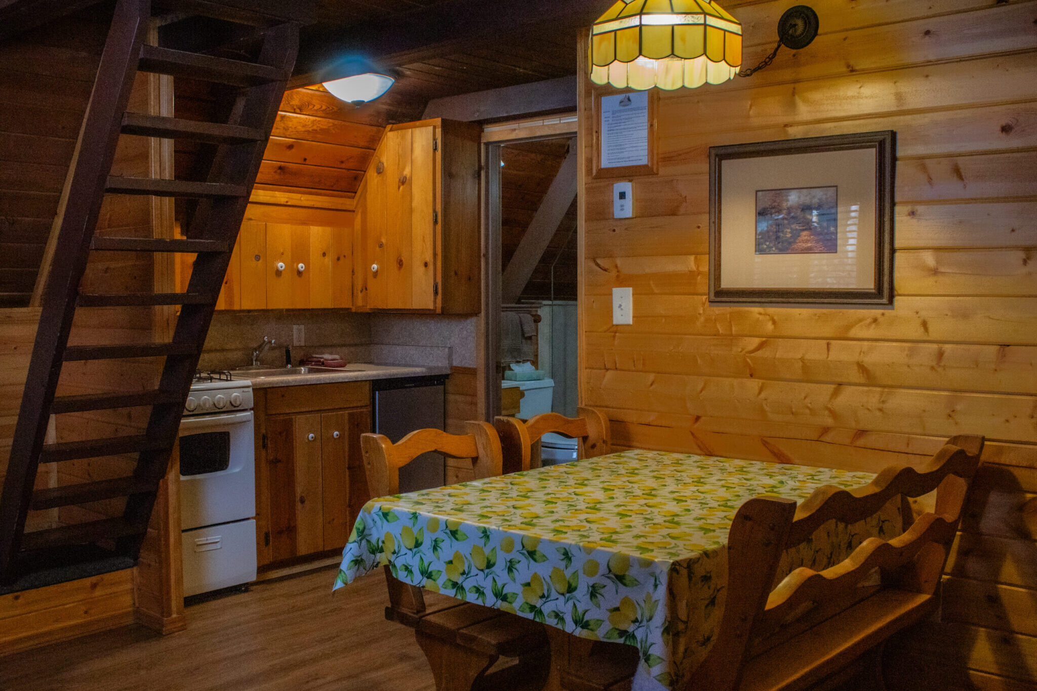 Cabin 9 Dining Room Table