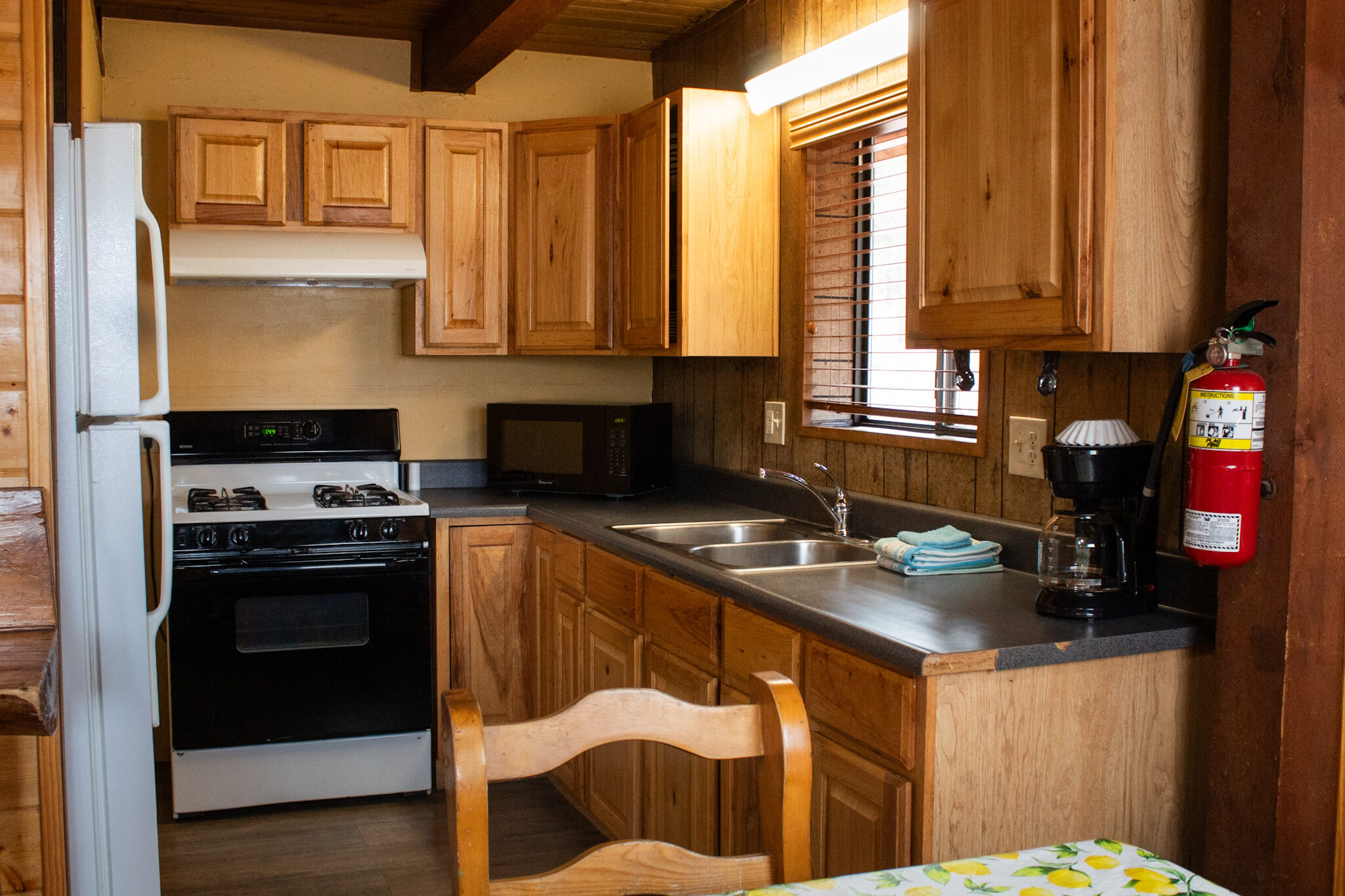 Cabin 15 Kitchen