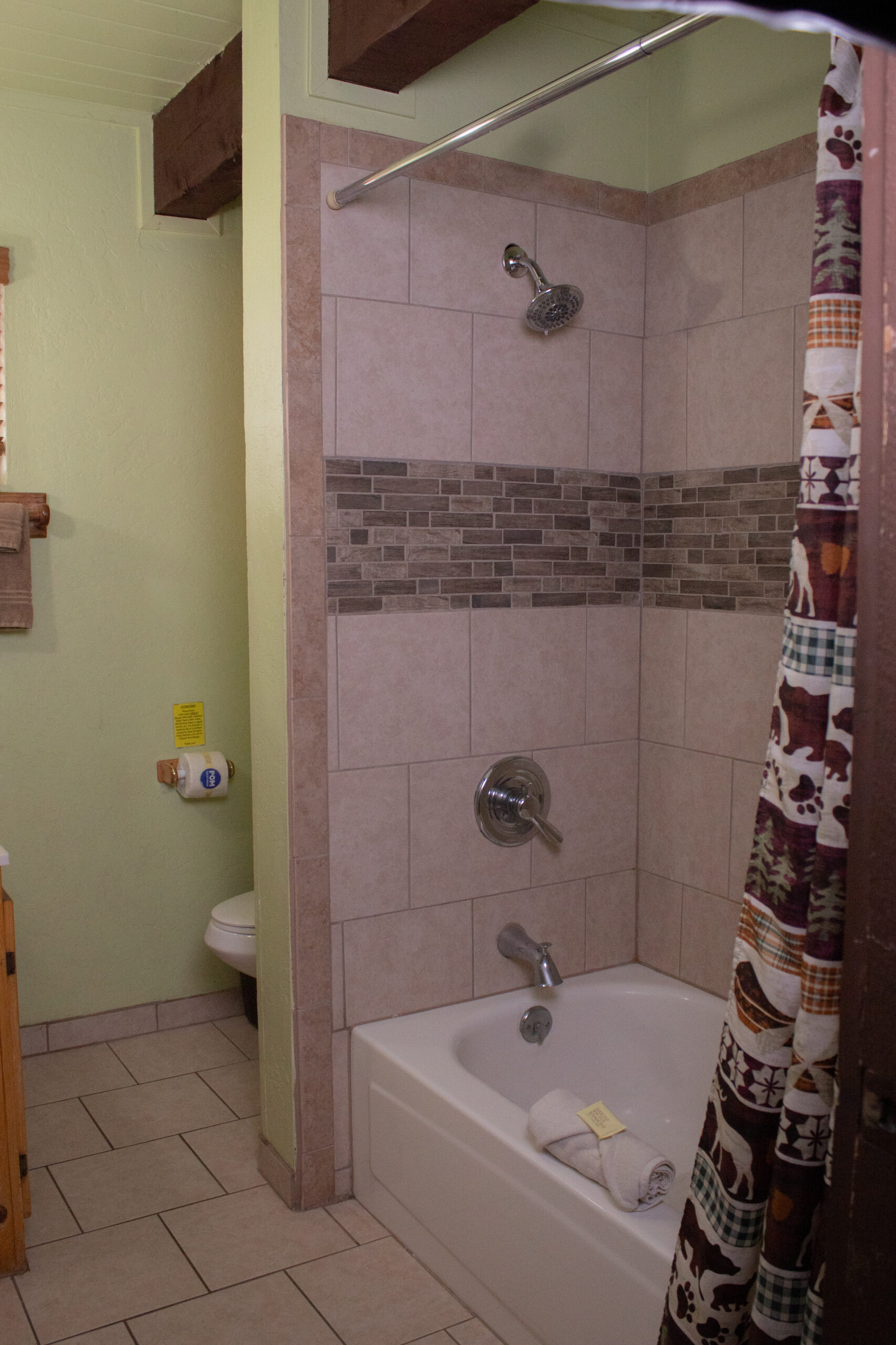 Cabin 16 Downstairs Shower